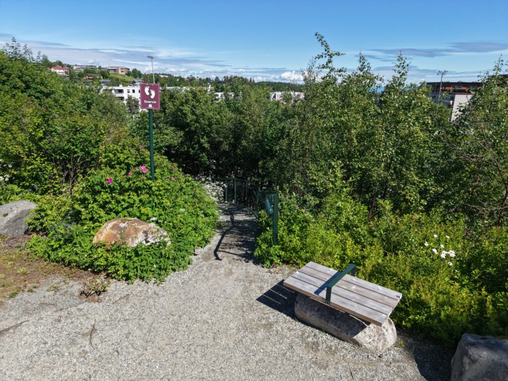 Bilde av den oppgraderte snarveien, sett fra Gjørtlervegen. Bildet viser en ny benk og inngangen til snarveien, som også er merket med snarveiskilt.